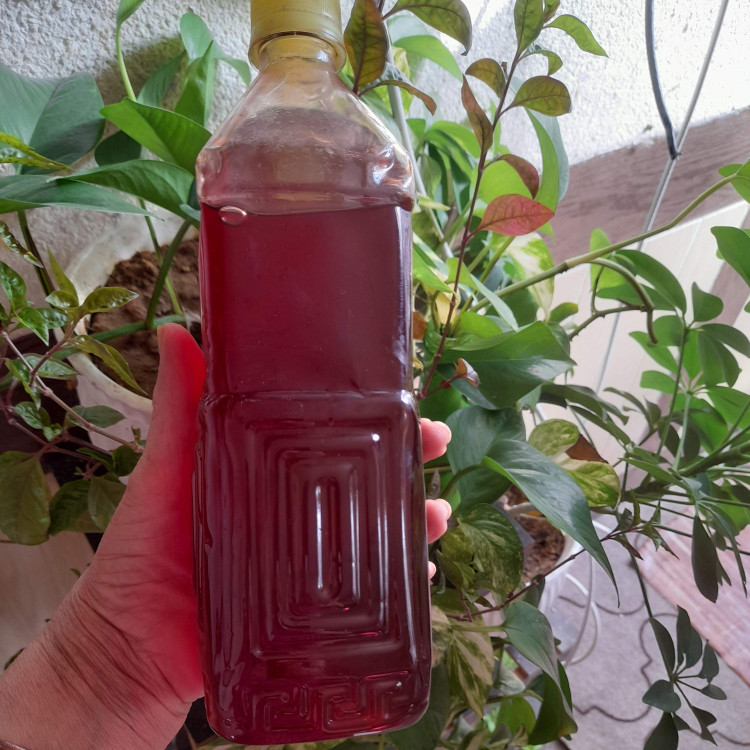 شربت به لیمو ۱ لیتری - سنتی و طبیعی - بدون مواد نگهدارنده